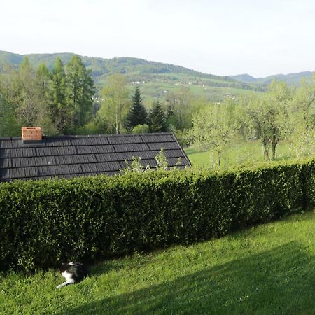 Apartament W Ogrodzie Tylka Kültér fotó