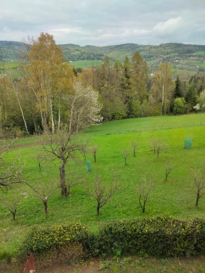 Apartament W Ogrodzie Tylka Kültér fotó